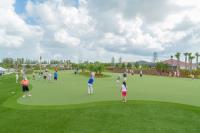 Complete Synthetic Turf image 6